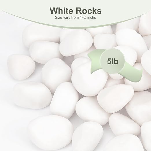 Pulovin 5 lbs White Rocks for Plants Indoor, 1-2 inch Decorative Garden Stone Outdoor Landscaping, Walkways, Yard, Large Polished River Rocks for Plants Pots, Vases, Crafts