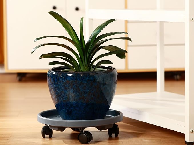 5 Pakcs Large Plant Caddy with Wheels 15.8" Rolling Plant Stands Heavy-duty Plastic Plant Roller Base Pot Movers Plant Saucer on Wheels Indoor Outdoor Plant Dolly with Caster Tray Coaster Grey