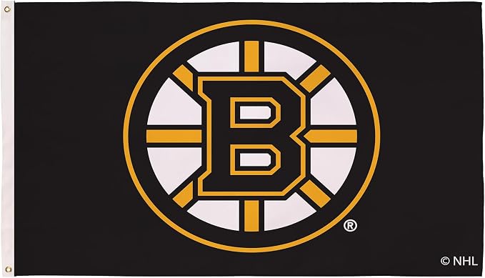 Team Sports America NHL Boston Bruins 3' x 5' Outdoor Durable Flag with Grommets, Heavy Duty Flag & Banner for Outdoor Garden Patio, Indoor Wall Decor Flag for Room, Works with Flag Poles for House
