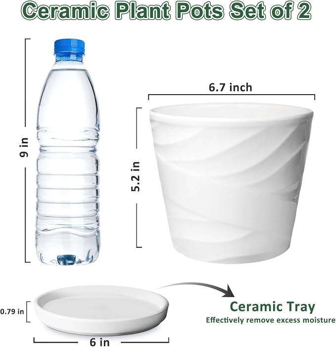6 Inch Plant Pot,Ceramic Planter with Drainage and Saucer,Ceramic Pots for Plants,Planters for Indoor Plants,Ceramic Flower Pots(6.7 in Diameter)