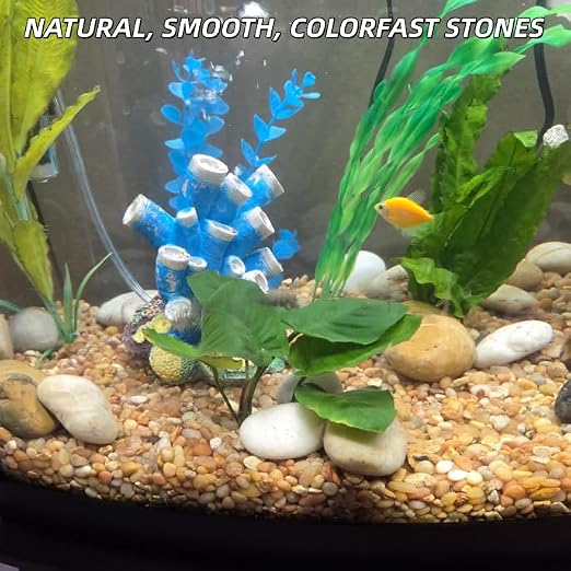 9lb Mix River Rocks for Plants, 1-3 Inch Pebbles for Indoor Plants, Polished Garden Rocks Outdoor Landscaping, Decorative Stones for Vases, Succulents, Aquarium, Walkways