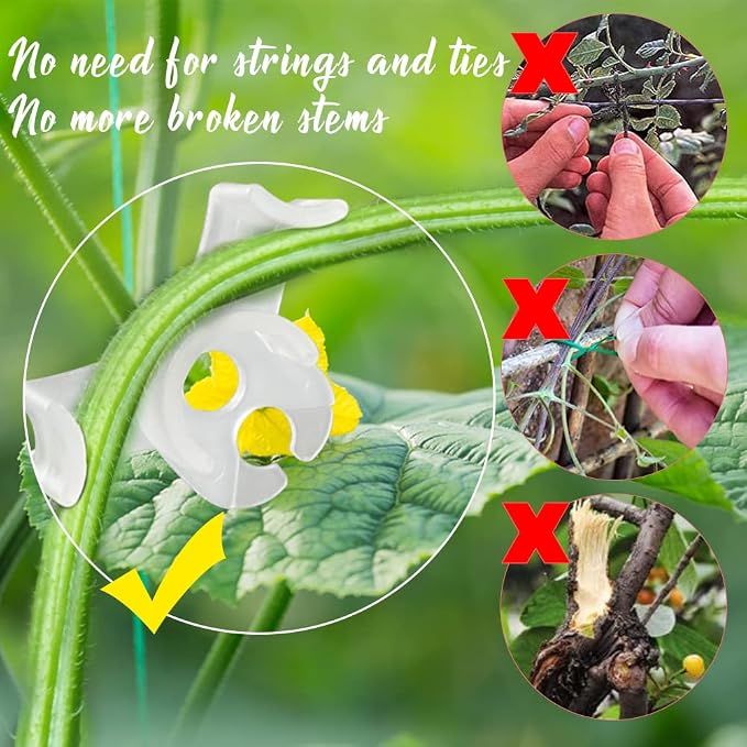 LucyPhy 60 Pack Plant Bender Angle Adjustable Plant Training Clips Low Stress Training Clips 90 Degrees Plant Stem(Circle Style,Transparent)