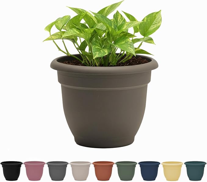 Bloem Ariana 6" Self-Watering Plastic Planter - Rolled Rim Indoor/Outdoor Garden Pot, Peppercorn