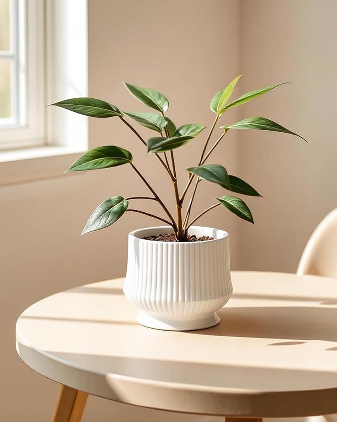 OXART Ceramic Plant Pots Indoor Pot Set with Drainage Holes, 10+8+6 inch Ceramic Planters Pots for Plants, Home Garden Large Flower Pot for Plants Herbs Cactus Orchid, White