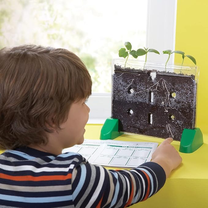 Educational Insights Sprout & Grow Window - See-Through Sprouts Growing Kit, Kids Gardening Set, Kid-Friendly Science Kits, Root Viewer, Gardening Kit for Kids, Indoor Classroom Planter, Ages 5+
