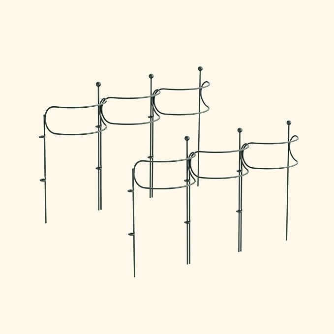 6 Pack Curved Plant Support Stakes, Dual Half Round Metal Garden Plant Stake, Peony Cages and Supports, 10"(W) x 20" (H) Flower Support Ring for Peonies, Hydrangea
