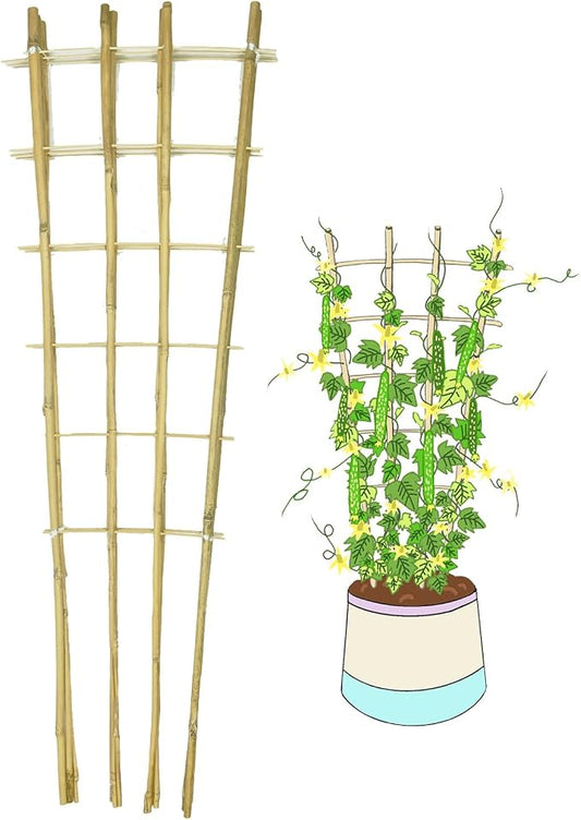 Natural Bamboo Trellis, 4Feet,3Pack,Fan-Shaped Plant Support Trellis for Outdoor and Indoor Potted Climbing Plants,Vegetables, Cucumber, Tomato, Hoya,