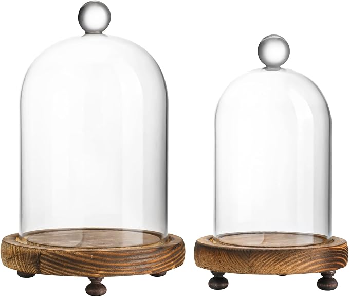 ZEERSHEE Cloche Glass Dome with Wooden Base, Set of 2 Display Bell Jars | Two Sizes Included, Clear Glass Display, Stable Wooden Base for Flowers, Figurines, Candles and Keepsakes