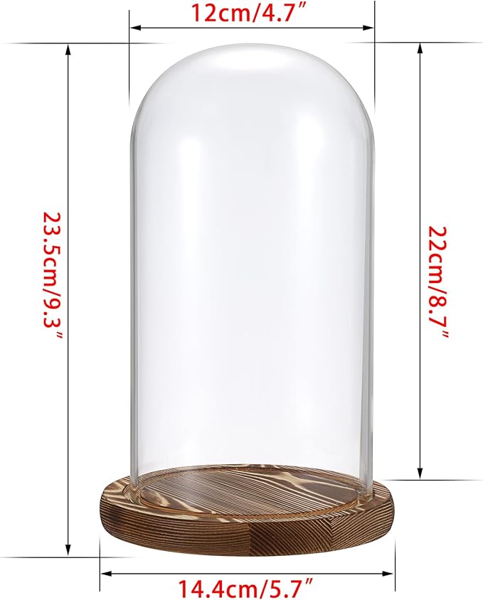 JUXYES Pack of 2 Glass Display Dome Cloche with Solid Wood Base, Clear Dome Bell Terrarium Jar Glass Cloche Bell Jar Display for Plants Collectible Figure