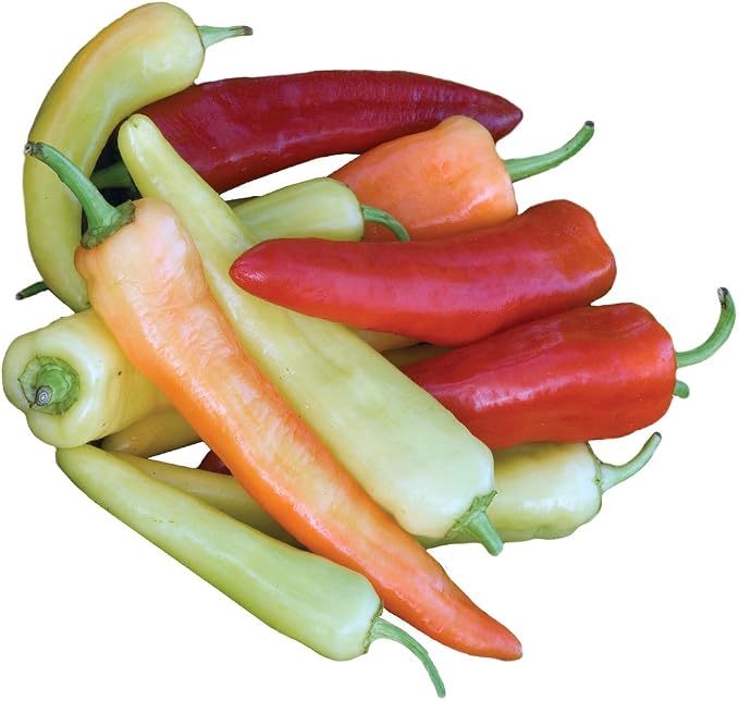 Burpee Straight Eight Slicing Cucumber 200 Seeds and Sweet Banana Sweet Pepper 150 Seeds