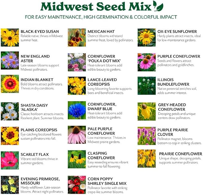 Grow Your Own Vibrant Annual and Perennial Wildflower Garden Seeds Mixture, Varieties for Pollinators and Spring Gardens - Midwest Regional Mix, 50 lbs