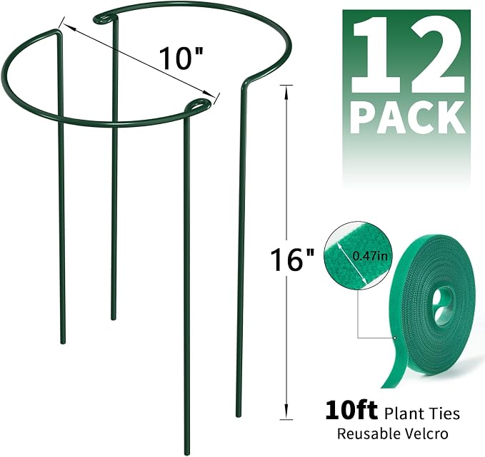 AMAGABELI GARDEN & HOME 12 Pack Peony Cage Plant Support Stakes 10" W x 16" H Heavy Duty Ring Metal Garden Support Structures Plant Cage with Ties for Indoor Flower Outdoor Tomato Hydrangea Monstera