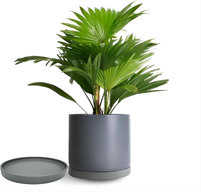 Yukfona Ceramic Plant Saucer Tray 2 Pcs 8 Inch Grey, 8.5" OD x8.15 ID x1 Deep| Fits Flower pots Bottom≤ 8.15", Heavy Duty Glazed Round Planter Drip with Catch Basin for Indoor Outdoor Plants