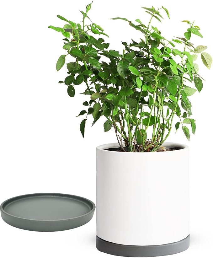 Yukfona Ceramic Plant Saucer Tray 1 Pcs 10 Inch Grey, 10.83" OD x10.24 ID x1.1 Deep| Fits Flower pots Bottom≤ 10.24", Heavy Duty Glazed Round Planter Drip with Catch Basin for Indoor Outdoor Plants