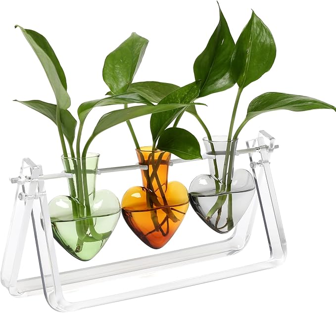 Clear Plant Terrarium Propagation Stations with Acrylic Stand | Birthday Gifts for Women Office Home Decor