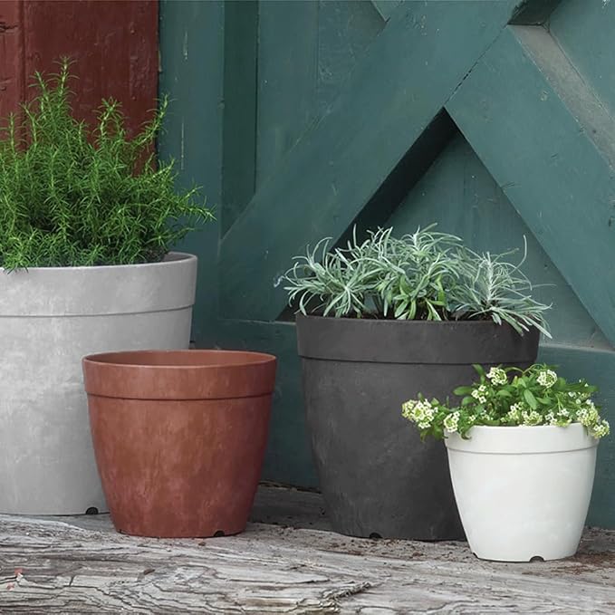 Root & Vessel Dolce Round Planter, White, 6"