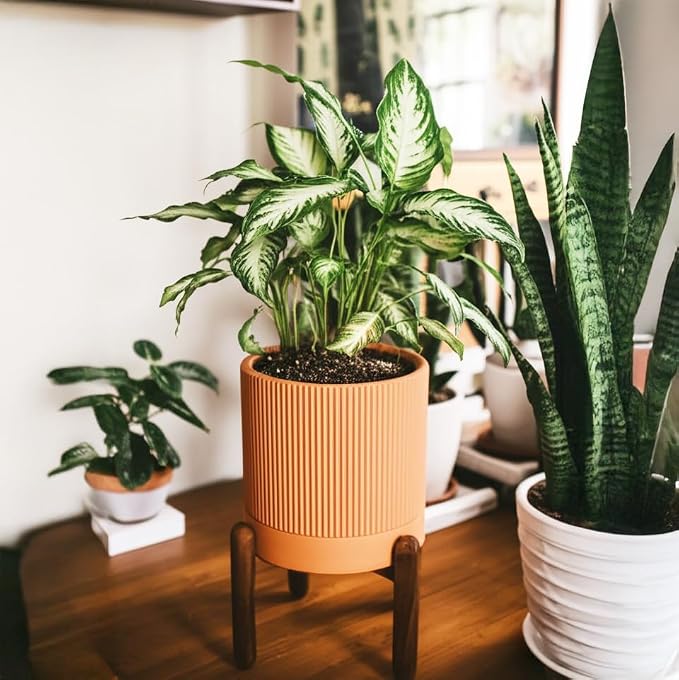 Large Terracotta Pots, 8 Inch Clay Planter Pots with Drainage Hole & Saucer (with Stand), Garden Planters for Indoor/Ourdoor Plants, Cactus & Snake Plant
