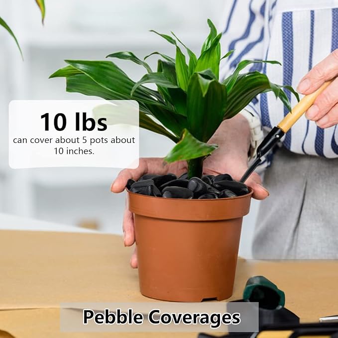 YISZM 5lbs Black Pebbles for Plants, 1-2 Inch High Polished Natural River Rocks for Landscaping, Decorative Stones Vase Filler Fish Tank Aquariums Garden Outdoor and Indoor DIY