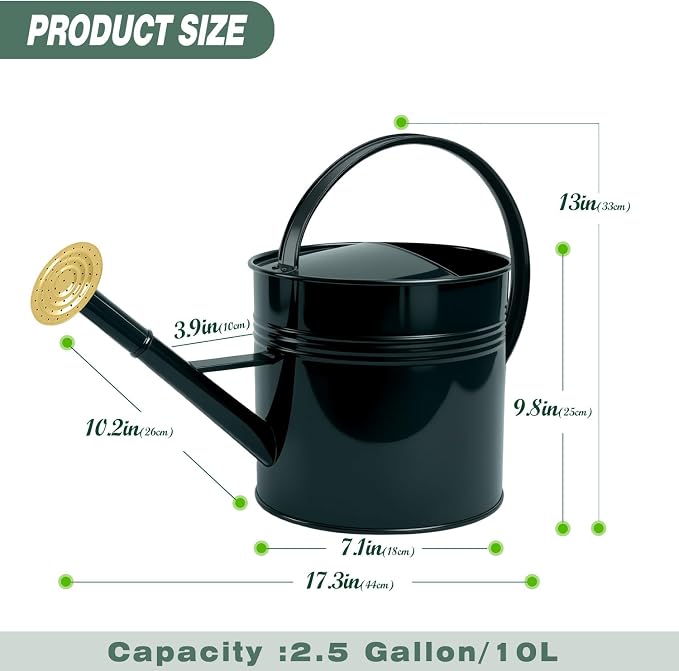 LONGRUN 2.5 Gallon Dark Green Metal Watering Can for Plants and Garden with Removable Spout, Made of Galvanized Iron