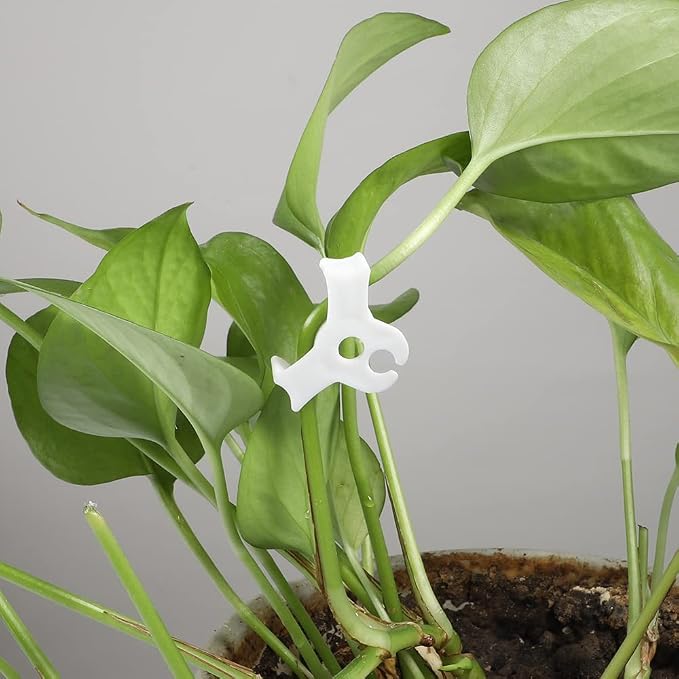 LucyPhy 60 Pack Plant Bender Angle Adjustable Plant Training Clips Low Stress Training Clips 90 Degrees Plant Stem(Circle Style,White)