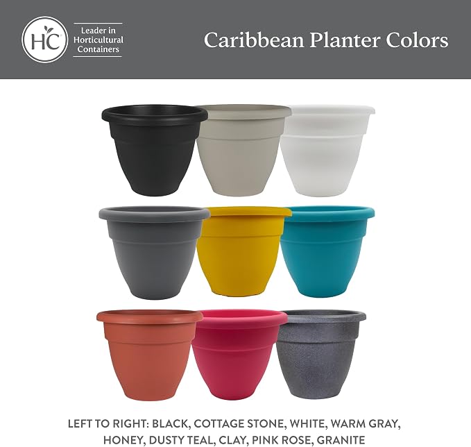 The HC Companies Caribbean Planter Pot - Outdoor & Indoor Plant Pot with Drainage Hole & Plug - Rolled Rim Plastic Pots for Plants & Flowers - Decorative Plant Pot (12" Black, Pack of 1)