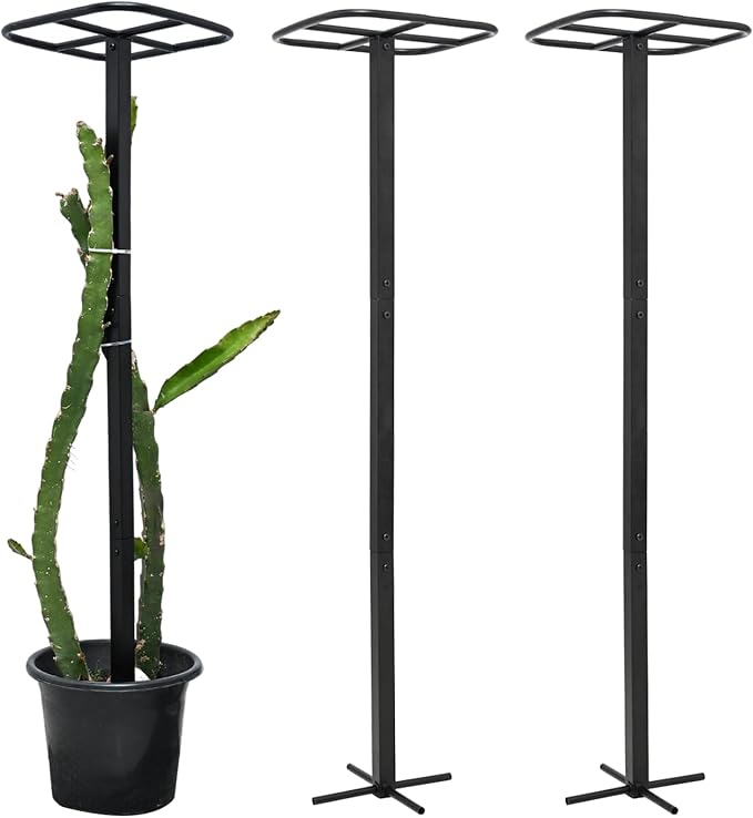 Yohsnor 2-Pack Metal Dragon Fruit Trellis - Durable Vertical Garden Support for Climbing Plants, Easy to Assemble, 12x12x50 Inches for Dragon Fruit Enthusiasts