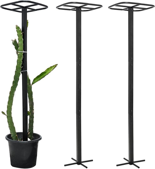 Yohsnor 2-Pack Metal Dragon Fruit Trellis - Durable Vertical Garden Support for Climbing Plants, Easy to Assemble, 12x12x50 Inches for Dragon Fruit Enthusiasts