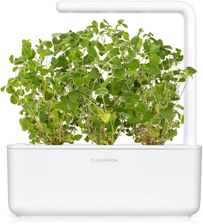 Click and Grow Smart Garden Oregano Plant Pods, 3-Pack