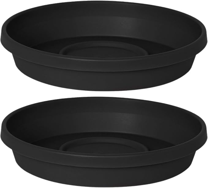 Bloem Terra 16" Round Plastic Plant Saucer, Lightweight UV-Resistant Indoor/Outdoor Flower Pot Tray - Fits 16-inch Planter Pots, Black, 2-Pack