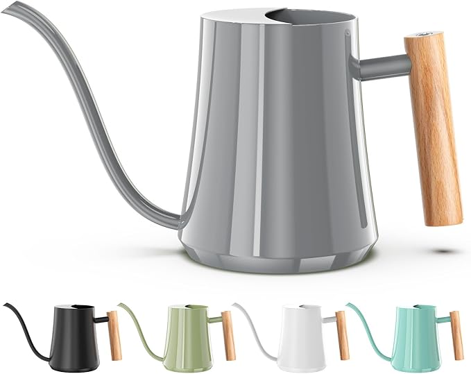 Green Moon 1L/35oz Metal Watering Can Indoor with Long Spout, Gray | Metal Stainless Steel Watering Can with Wood Handle for Indoor Plants, House Bonsai, Succulents, and Outdoor Garden Flowers