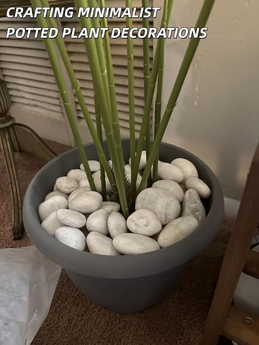 4lb White River Rocks for Plants, 1-3 Inch Pebbles for Indoor Plants, Polished Garden Rocks Outdoor Landscaping, Decorative Stones for Vases, Succulents, Aquarium, Walkways
