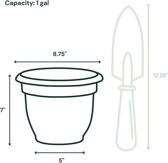 Bloem Ariana 8" Self-Watering Plastic Planter - Rolled Rim Indoor/Outdoor Garden Pot, Vanilla Bean