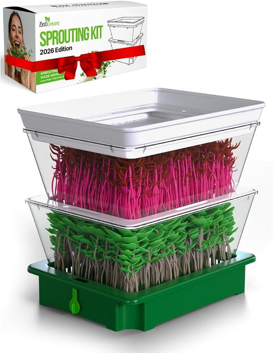ZESTIGREENS 2-Tier Sprouting Kit - Stackable Seed Sprouter Trays with Drain Spout - Grow Fresh Sprouts at Home - BPA-Free