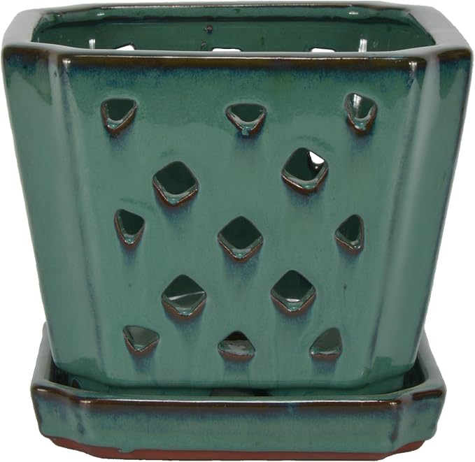 W&W Orchid Pot with Holes and Saucer for Repotting, Green, 7"