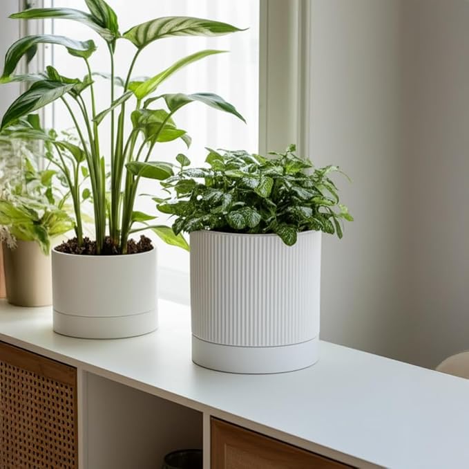 HERDUK 6 Inch Ceramic Plant Pot with Drainage & Saucer - Indoor Planter for Succulents, Cacti & Aloe Vera - Striped Design, High-Temp Fired Clay, Lightweight Modern Decor White