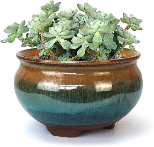 8 Inch Succulent Pot with Drainage and Saucer Glazed Terracotta Round Ceramic Succulent Planter Cactus Bonsai Plant Pot (Brown and Green)