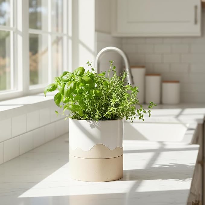 Nihow Ceramic Self Watering Plant Pot for Indoor Plants, 6 Inch,Cream White | Planter with Cotton Wick, Drainage Hole & Water Storage Plus, Cylinder Round Flower Pot, For Succulent/Herbs/Violets