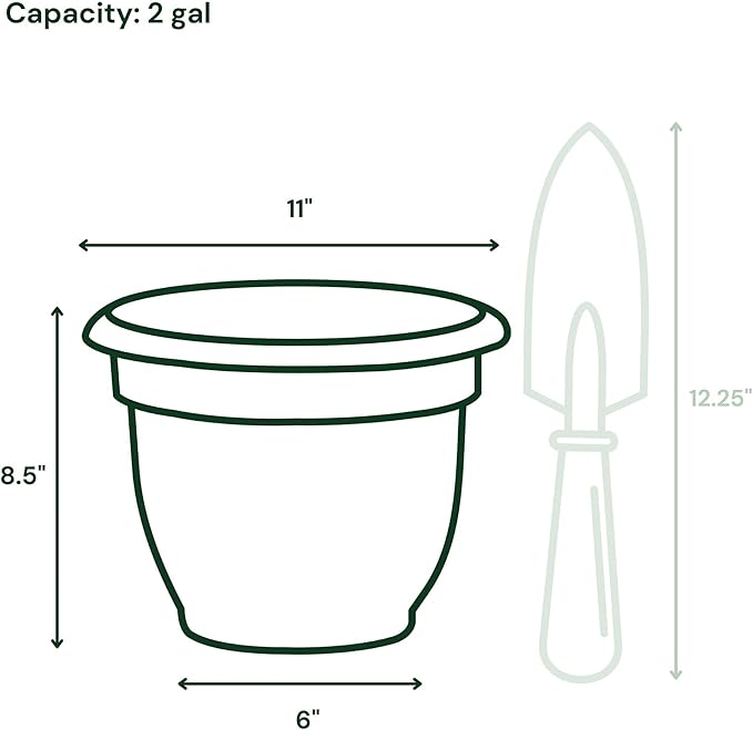 Bloem Ariana 10" Self-Watering Plastic Planter - Rolled Rim Indoor/Outdoor Garden Pot, Dusty Rose