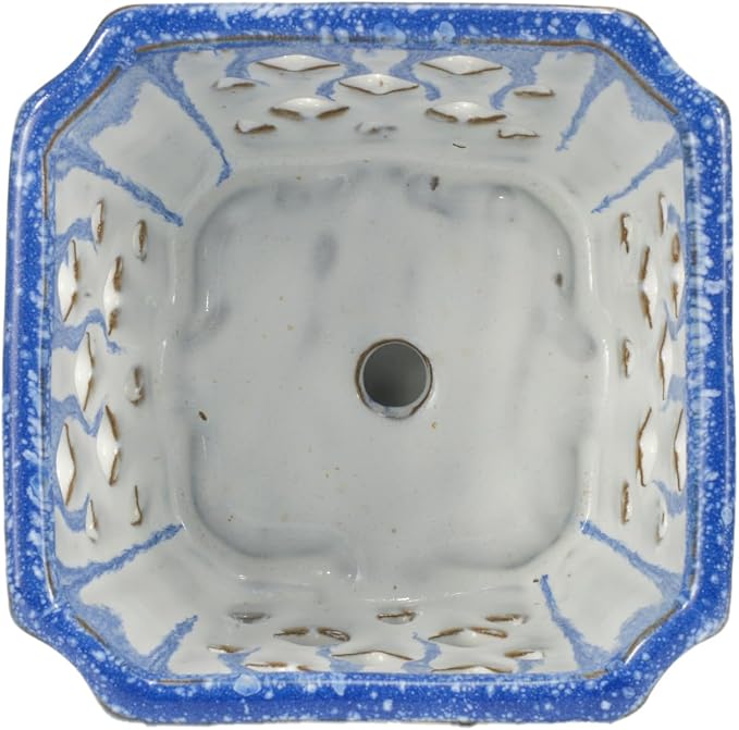 W&W Orchid Pot with Holes and Saucer for Repotting and Better Grow, Blue and White, 7"