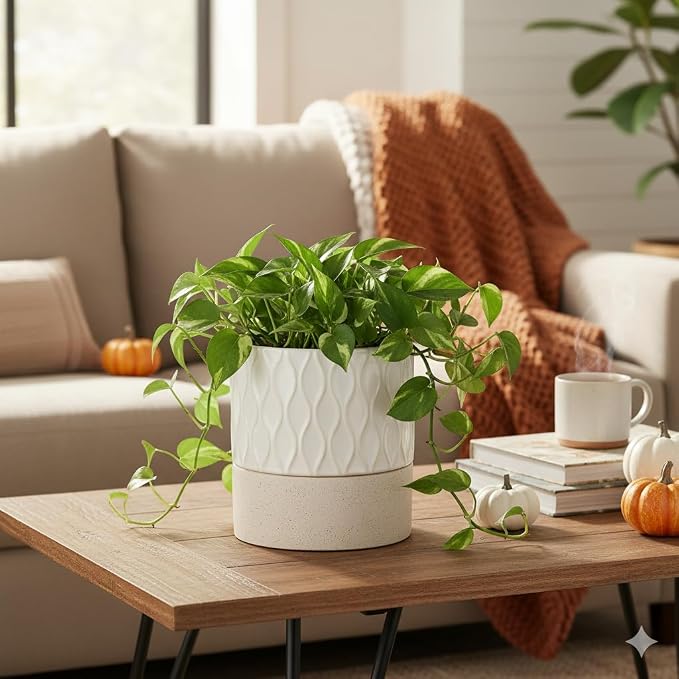 Nihow Ceramic Self Watering Plant Pot for Indoor Plants, 6 Inch,Cream White | Planter with Cotton Wick, Drainage Hole & Water Storage Plus, Cylinder Round Flower Pot, For Succulent/Herbs/Violets