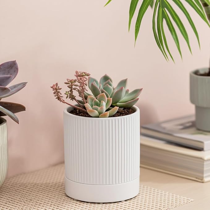 HERDUK Small Plant Pots, 4 Inch Pots for Indoor Plants, Modern Minimalist Ceramic Plant Pots with Drainage Hole & Saucer, White Set of 2