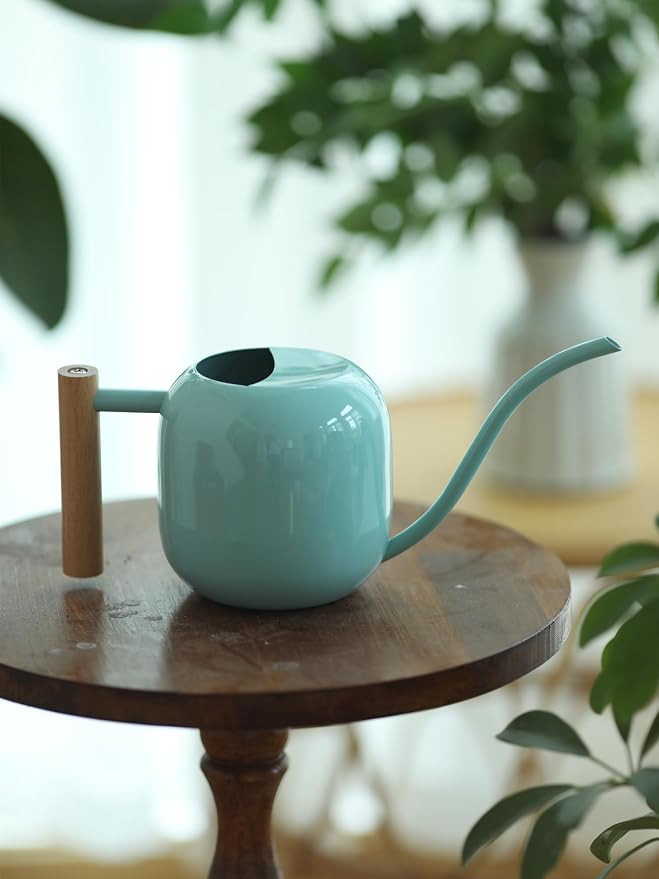 Green Moon 1.2L/41oz Metal Metal Watering Can with Long Spout, Mint Green | Metal Stainless Steel Watering Can for Indoor Plants, House Bonsai, Succulents, and Garden Flowers, Decorative Watering Cans