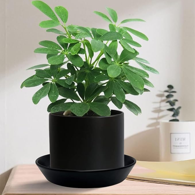 Ceramic Plant Saucer Tray 4 Pcs 4 5 Inch Black, 5" OD x4.25 ID x1.18 Deep| Round Sturdy Heavy Duty Glazed Bevel Planter Drip Flower pots with Catch Basin for Indoor Outdoor Plants