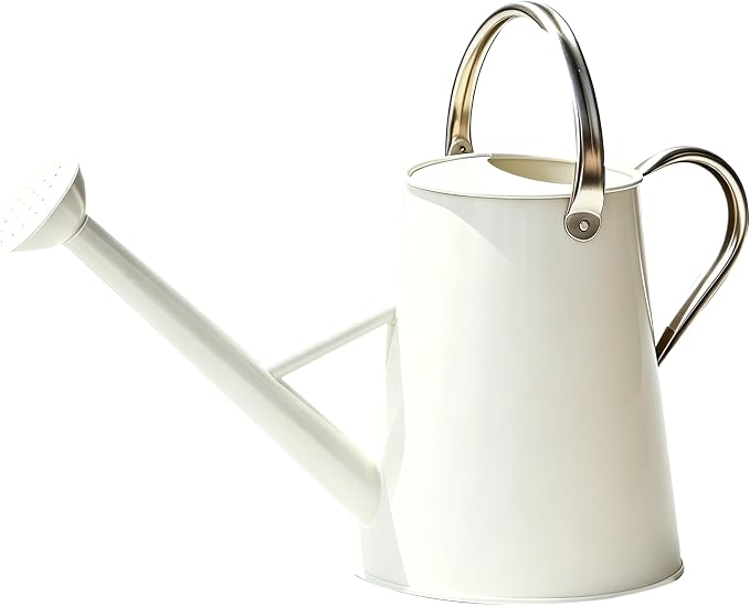 Metal Watering Can with Stainless Steel Handle for Outdoor and Indoor Plants, Watering Can Decor, 1.5 Gallon (White)