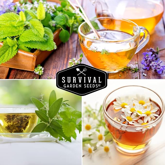 Medicinal Tea Herb Seeds for Planting | 9 Varieties - Survival Garden Seeds | Grow Herbal Teas, Natural Remedies – Home Apothecary Garden Kit – Heirloom, Non-GMO Herbs