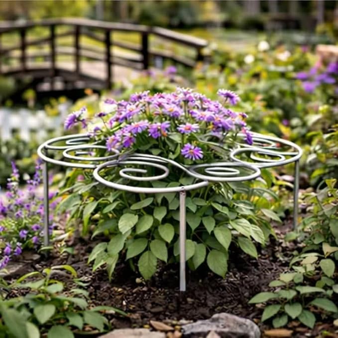 2026 New Peony Cages and Supports, Metal Plant Support Ring for Gardens, Grow Through Plant Support Hoops for Peonies, Tomatoes, Roses, and Other Plants and Flowers (Medium)