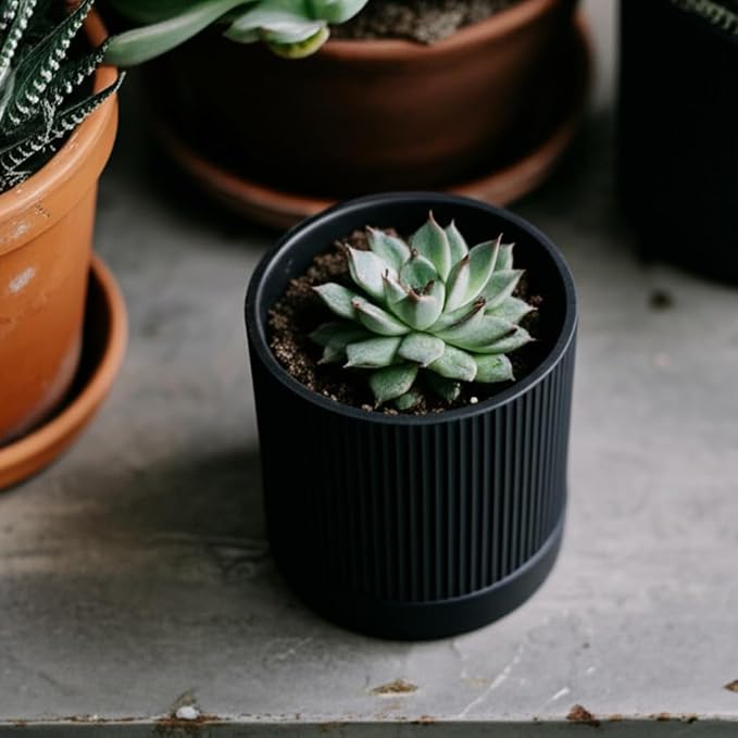 HERDUK Small Plant Pots, 4 Inch Pots for Indoor Plants, Modern Minimalist Ceramic Plant Pots with Drainage Hole & Saucer, Matte Black Set of 2