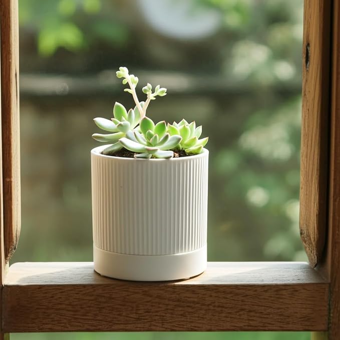 HERDUK Small Plant Pots, 4 Inch Pots for Indoor Plants, Modern Minimalist Ceramic Plant Pots with Drainage Hole & Saucer, White Set of 2