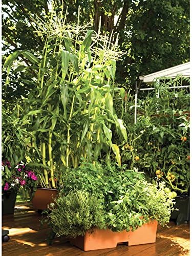 EarthBox® Container Gardening System - Terra