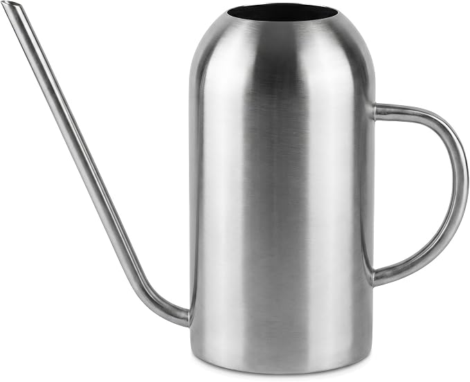 Fasmov Stainless Steel Watering Can with Long Spout Modern Style Watering Pot, 53oz/1.5L